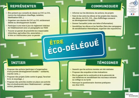 Eco Delegues Lyc E Galilee